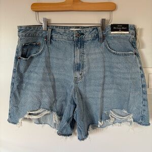 Abercrombie & Fitch Distressed High Rise The Loose Short Curve Love Size 33